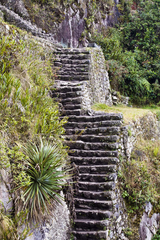 无人,竖图,室外,白天,正面,旅游,度假,名胜古迹,植物,楼梯,标志建筑,地标,建筑,秘鲁,一排,许多,阴影,遗迹,整齐,光线,影子,阶梯,古迹,文物,娱乐,建设,古建筑,台阶,树,树木,排列,绿色,阳光,自然,享受,休闲,旅游胜地,南美,放松,生长,成长,南美洲,拉丁美洲,队列,美洲,古文明,秘鲁共和国,马丘比丘,亚美利加洲,南亚美利加洲,玉米之仓,马丘比丘遗址,失落之城,印加帝国,彩图