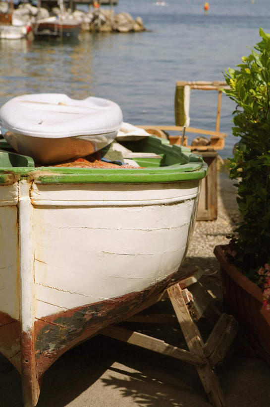 无人,竖图,室外,白天,正面,旅游,度假,海浪,海洋,美景,植物,船,意大利,欧洲,一艘,阴影,光线,影子,景观,浪花,木船,娱乐,树,树木,绿色,阳光,自然,海水,交通工具,享受,休闲,景色,放松,生长,成长,舟,南欧,自然风光,载具,海景,卡普里,意大利共和国,卡普里岛,坎帕尼亚,坎帕尼亚大区,卡碧岛,卡布里岛,女妖岛,大海,风浪,海,海水的波动,近岸浪,涌浪,彩图