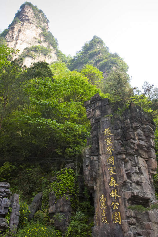 无人,公园,竖图,室外,白天,仰视,旅游,度假,石头,美景,森林,山,山脉,树林,植物,张家界,中国,亚洲,石子,景观,山顶,山峰,山峦,娱乐,树,树木,绿色,自然,群山,享受,休闲,景色,放松,生长,成长,自然风光,东亚,沉积岩,湖南,湖南省,森林公园,张家界国家森林公园,中华人民共和国,华中地区,湘,张家界市,颠峰,极峰,水成岩,石块,岩石,彩图,低角度拍摄