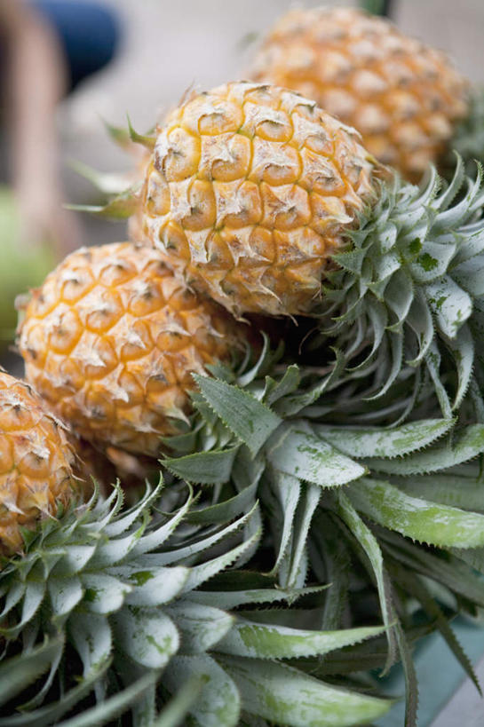 无人,商店,竖图,俯视,室外,特写,白天,购物,消费,植物,菠萝,水果,叶子,一排,朦胧,模糊,新鲜,整齐,纹理,生食,食品,果实,绿叶,商铺,食物,排列,绿色,四个,嫩叶,金融,有机食品,绿色食品,队列,选购,贸易,肌理,血拼,市肆,商号,叶,叶片,叶脉,凤梨,彩图,高角度拍摄,店铺