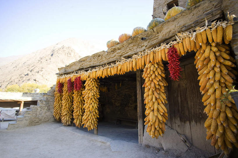 无人,横图,室外,白天,正面,旅游,度假,玉米,美景,蔬菜,中国,亚洲,吊挂,悬挂,阴影,新鲜,光线,棒子,影子,草屋,景观,玉蜀黍,食品,挂,娱乐,食物,黄色,蓝色,蓝天,天空,阳光,自然,天,享受,休闲,景色,放松,四川省,有机食品,绿色食品,晴朗,苞米,自然风光,苞芦,东亚,苞谷,四川,阿坝,桃坪乡,万里无云,中华人民共和国,西南地区,包谷,大蜀黍,番麦,薏米包,玉高粱,玉麦,珍珠米,阿坝藏族羌族自治州,阿坝州,川,理县,桃坪羌寨,晴空,晴空万里,彩图,茅舍,茅屋