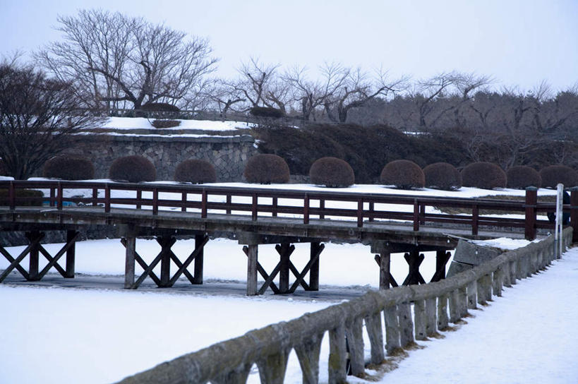 无人,栏杆,横图,室外,白天,正面,旅游,度假,美景,雪,植物,大雪,北海道,日本,亚洲,木板,积雪,景观,雪景,冬季,冬天,围栏,桥,枝条,木桥,娱乐,护栏,栈桥,树,树木,树枝,自然,享受,休闲,景色,放松,寒冷,人行桥,木板桥,自然风光,东亚,日本国,北海道地方,北海道岛,严寒,函馆,函馆市,虬枝,枝杈,五陵郭,彩图