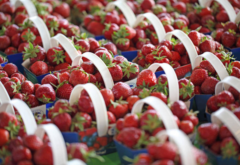 无人,横图,室外,特写,白天,正面,兴奋,热情,草莓,浆果,水果,一堆,一排,许多,堆叠,堆积,朦胧,模糊,新鲜,整齐,篮子,塑料,生食,食品,果实,很多,开放,食物,排列,红色,容器,塑料制品,健康,温暖,奔放,活力,积极,激情,朝气,有机食品,绿色食品,储藏,堆,暖色,吉祥,生命,储存,队列,饱满,革命,热烈,赤色,充实,斗志,喜气,主动,洋莓,水果皇后,红莓,地莓,彩图,欢乐,贮存