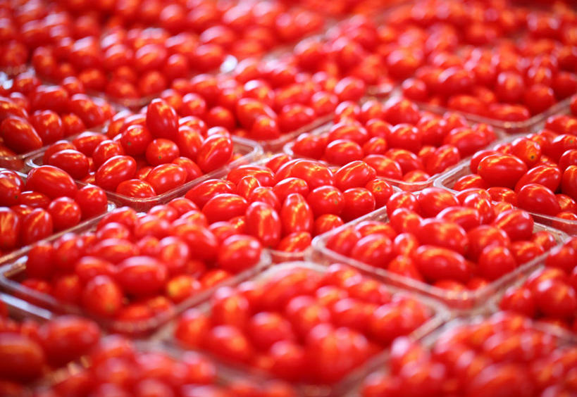 无人,横图,俯视,室外,特写,白天,兴奋,热情,西红柿,小番茄,水果,一堆,一排,许多,堆叠,堆积,朦胧,模糊,新鲜,整齐,篮子,塑料,生食,食品,果实,很多,开放,食物,排列,红色,容器,塑料制品,健康,温暖,奔放,活力,积极,激情,朝气,有机食品,绿色食品,储藏,堆,暖色,吉祥,生命,储存,队列,饱满,革命,热烈,赤色,充实,斗志,喜气,主动,小西红柿,樱桃小番茄,珍珠小番茄,樱桃番茄,圣女果,番茄,彩图,高角度拍摄,欢乐,贮存