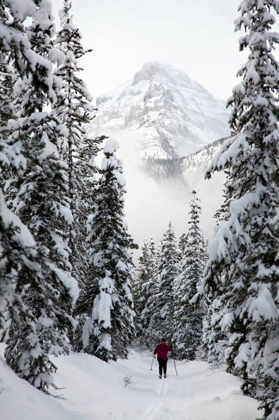 西方人,一个人,站,竖图,室外,白天,正面,旅游,度假,美景,山,雪,雪山,大雪,欧洲,加拿大,欧洲人,仅一个男性,仅一个人,仅一个中年男性,握,服装,工具,器材,冰,积雪,景观,山峰,雪景,冬季,冬天,山峦,拿,拿着,注视,娱乐,运动器械,衣服,自然,观察,看,站着,享受,休闲,温暖,器械,健身器械,景色,放松,寒冷,握着,服饰,拐杖,观看,羽绒服,保暖,滑雪杖,察看,冰冷,北美,北美洲,国家公园,御寒,关注,自然风光,美洲,健身器材,滑雪装备,阿尔伯塔省,班夫国家公园,阿尔伯塔,常绿树,北亚美利加洲,亚美利加洲,严寒,辅助设备,冰凉,酷寒,凛冽,凛凛,极冷,艾伯塔,艾伯塔省,冬装,男人,男性,中年男性,白种人,针叶树,站立,彩图,全身,软材,运动器材