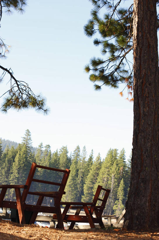 无人,竖图,室外,白天,正面,旅游,度假,美景,植物,椅子,美国,阴影,光线,影子,木椅,景观,云,云朵,枝条,云彩,娱乐,树,树木,树枝,蓝色,绿色,白云,蓝天,天空,阳光,自然,天,享受,休闲,景色,放松,生长,晴朗,成长,北美,北美洲,加利福尼亚,自然风光,美洲,加州,加利福尼亚州,金州,黄金州,北亚美利加洲,亚美利加洲,虬枝,枝杈,晴空,彩图,图奥勒米县