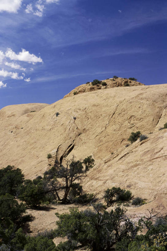 无人,公园,竖图,室外,白天,仰视,旅游,度假,美景,山,山脉,植物,美国,阴影,光线,影子,景观,山峰,云,云朵,山峦,云彩,娱乐,树,树木,蓝色,绿色,白云,蓝天,天空,阳光,自然,群山,天,享受,休闲,景色,放松,生长,晴朗,成长,北美,北美洲,国家公园,犹他州,自然风光,美洲,峡谷地国家公园,北亚美利加洲,亚美利加洲,犹他,蜂窝之州,蜂房州,美国峡谷地国家公园,晴空,彩图,低角度拍摄