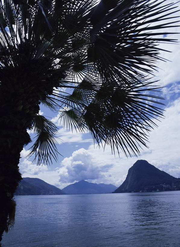 无人,竖图,室外,白天,正面,旅游,度假,湖,湖泊,美景,山,山脉,水,植物,棕榈树,叶子,瑞士,欧洲,阴影,波纹,光线,影子,湖面,景观,山峰,水流,水面,云,云朵,绿叶,涟漪,山峦,云彩,娱乐,树,树木,蓝色,绿色,白云,倒影,蓝天,水纹,天空,阳光,自然,波浪,湖水,群山,天,享受,休闲,嫩叶,景色,放松,生长,晴朗,成长,倒映,自然风光,棕榈叶,中欧,卢加诺,卢加诺湖,水晕,瑞士联邦,反照,叶,叶片,晴空,彩图