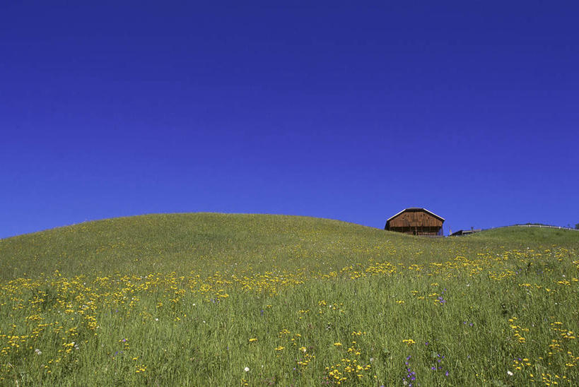 无人,家,木屋,横图,室外,白天,正面,旅游,度假,花海,花圃,美景,山,山脉,植物,叶子,意大利,欧洲,阴影,盛开,光线,影子,景观,山峰,山峦,花蕾,娱乐,住宅,花,花瓣,花朵,花卉,鲜花,蓝色,绿色,蓝天,天空,阳光,自然,花丛,花束,花田,群山,天,花苞,花蕊,享受,休闲,景色,放松,晴朗,南欧,自然风光,万里无云,意大利共和国,白云石山,晴空,晴空万里,彩图,茅舍,茅屋,棚屋,小木屋,小屋