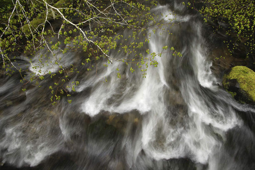无人,横图,俯视,室外,白天,旅游,度假,河流,美景,山,山脉,水,植物,美国,朦胧,模糊,河水,景观,山峰,水流,青苔,苔藓,枝条,山峦,娱乐,树,树木,树枝,小溪,自然,群山,溪水,享受,休闲,景色,放松,北美,北美洲,自然风光,美洲,俄勒冈州,俄勒冈,北亚美利加洲,亚美利加洲,落日之州,水獭之州,海狸州,虬枝,枝杈,胡德山,彩图,高角度拍摄