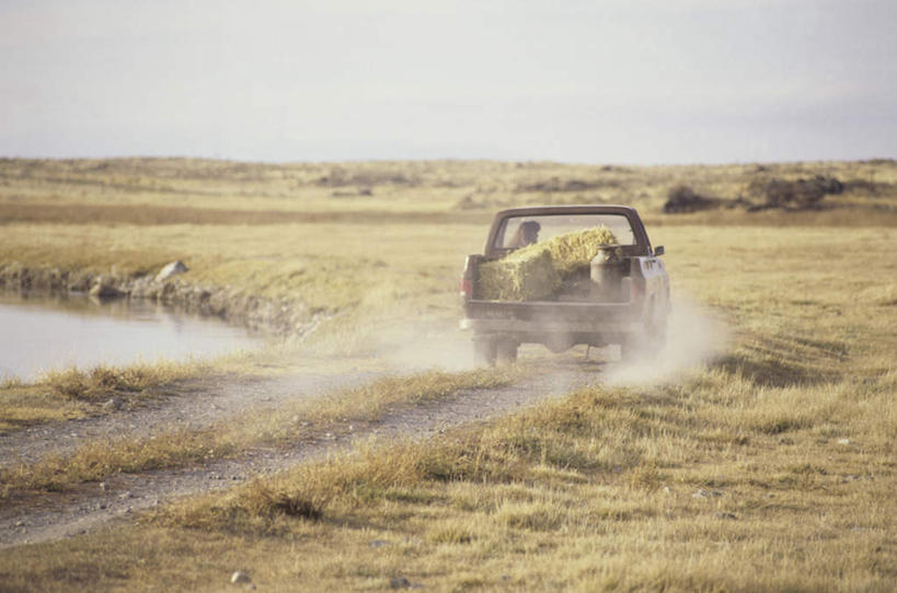西方人,一个人,坐,横图,室外,白天,正面,旅游,度假,美景,植物,卡车,汽车,欧洲,欧洲人,仅一个男性,仅一个人,仅一个中年男性,一辆,握,服装,枯萎,地平线,景观,乌云,云,阴天,云朵,辽阔,枯草,地面,云彩,尘埃,休闲装,娱乐,车,草,衣服,黄色,天空,自然,交通工具,天,驾驶,行驶,享受,休闲,广阔,休闲服,景色,放松,握着,服饰,一望无际,操纵,灰尘,尘土,控制,昏暗,阴沉,自然风光,载具,飞扬,延伸,操控,天地相交,把持,无边无际,一马平川,飞腾,男人,男性,中年男性,白种人,坐着,彩图,全身