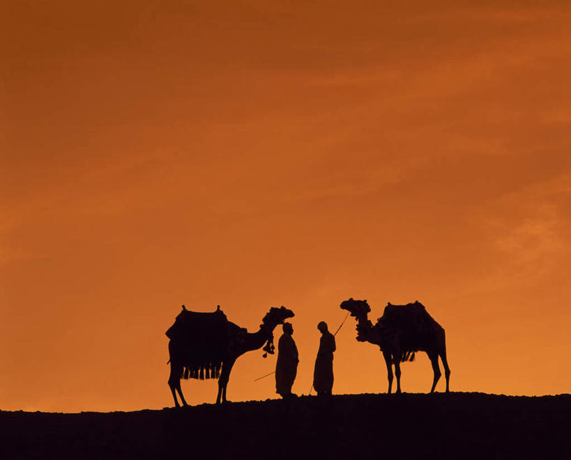 西方人,两个人,伙伴,朋友,站,横图,室外,白天,侧面,民族服装,旅游,度假,友谊,美景,日落,沙漠,城市,野生动物,欧洲,非洲,埃及,开罗,黑人,欧洲人,服装,景观,晚霞,霞光,落日,首都,背光,娱乐,骆驼,相视,衣服,自然,黄昏,动物,站着,享受,休闲,面对面,景色,彩霞,放松,运输,服饰,对视,古埃及,互视,衣着,穿着,自然风光,相对,逆光,北非,相看,首府,沙漠之舟,阿拉伯埃及共和国,金字塔之国,棉花之国,阿非利加洲,开罗省,双峰骆驼,衣饰,夕照,友情,男人,男性,年轻男性,非洲人,大漠,砂漠,夕阳,站立,彩图,全身,传统服装,民俗服,斜阳