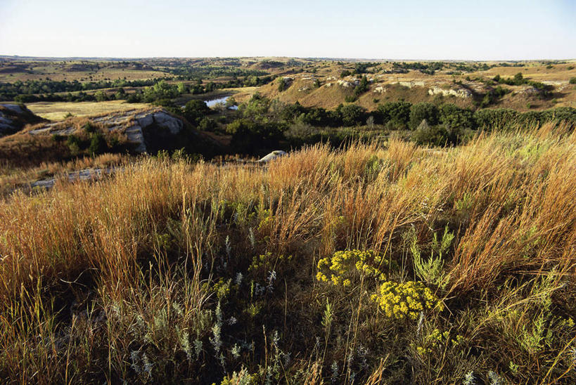 无人,横图,室外,白天,正面,旅游,度假,草地,草坪,美景,山,山脉,植物,美国,阴影,光线,影子,地平线,景观,山峰,辽阔,地面,山峦,娱乐,草,树,树木,蓝色,绿色,蓝天,天空,阳光,自然,群山,天,享受,休闲,广阔,景色,放松,生长,晴朗,成长,一望无际,北美,北美洲,自然风光,延伸,美洲,万里无云,天地相交,北亚美利加洲,亚美利加洲,堪萨斯,堪萨斯州,向日葵之州,向日葵州,无边无际,一马平川,晴空,晴空万里,彩图