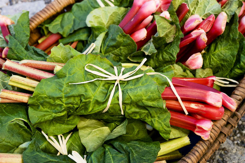 无人,横图,俯视,室外,特写,白天,蔬菜,叶子,一堆,许多,堆叠,堆积,新鲜,花篮,篮子,食品,绿叶,食物,红色,嫩叶,有机食品,绿色食品,堆,捆绑,大黄,绑缚,叶,叶片,彩图,高角度拍摄