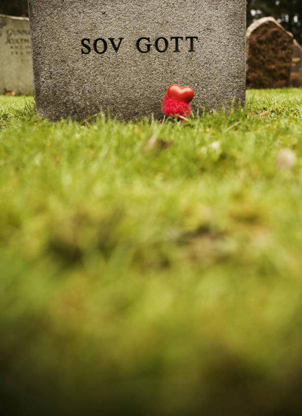 无人,竖图,室外,特写,白天,正面,爱情,草地,草坪,植物,阴影,爱心,朦胧,模糊,装饰,光线,影子,浪漫,草,红色,绿色,阳光,墓碑,墓地,温暖,温馨,心形,恩爱,华丽,修饰,点缀,和睦,坟场,衬托,美观,雅致,雅观,心型,彩图,融洽