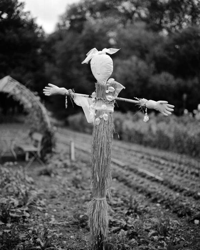 无人,农田,竖图,黑白,室外,白天,正面,旅游,度假,庄稼,农作物,草地,草坪,美景,森林,树林,植物,景观,警告,娱乐,稻草人,草,树,树木,一个,蓝色,绿色,蓝天,天空,自然,天,享受,休闲,景色,放松,警示,生长,成长,禁止,提醒,提示,限制,自然风光,危险,耕地,庄稼田