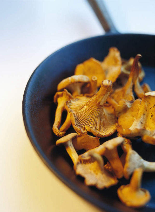 无人,竖图,俯视,室内,特写,白天,白色背景,蔬菜,静物,一堆,许多,堆积,新鲜,平底锅,菌菇,蘑菇,食品,菌类,食物,食用菌,摄影,有机食品,绿色食品,影棚,堆,彩图,高角度拍摄,影棚拍摄,拍摄