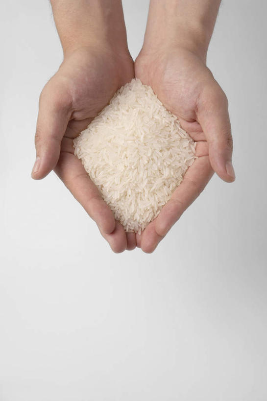成年人,手,一个人,竖图,俯视,特写,留白,白色背景,农作物,一把,堆叠,丰富,白米,谷物,生食,食品,米,钻石,饮食,白色,摄影,有机食品,简单,健康食物,钉书钉,年轻人,捧着,彩图,高角度拍摄,影棚拍摄