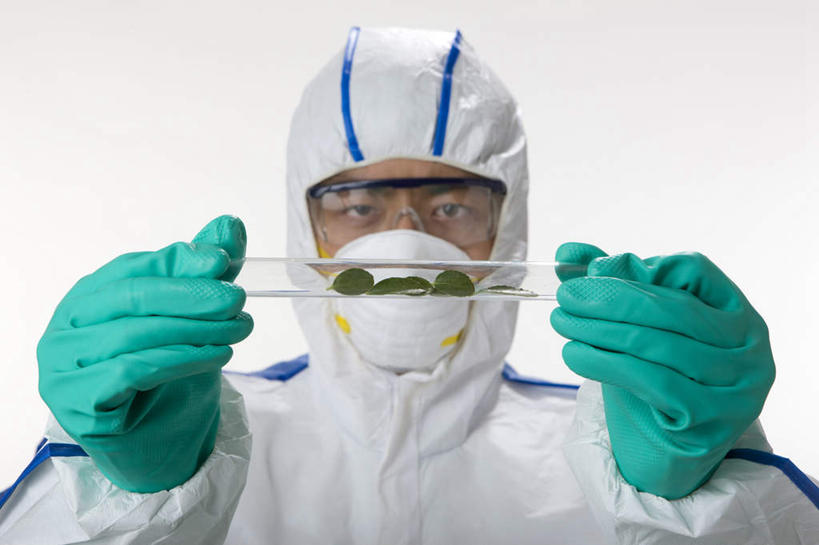 东方人,成年人,脸,头,脸颊,一个人,科学家,站,微笑,横图,白色背景,正面,快乐,叶子,中国,仅一个男性,检查,研究,科学,试管,肩膀,摄影,影棚,保护,摄影棚,东亚,保护服,男人,男性,年轻男性,亚洲人,中国人,年轻人,头部,脸部,脸蛋,面部,彩图,影棚拍摄,拍摄