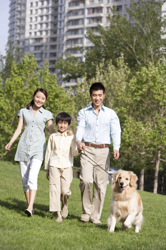 东方人,儿童,三个人,家庭,父母,母亲,父亲,儿子,公园,站,笑,微笑,露齿笑,竖图,室外,白天,留白,正面,衬衫,旅游,度假,快乐,满意,幸福,纯洁,草原,美景,宠物,狗,北京,日光,中国,亚洲,连接,服装,并排,景观,拉布拉多,拿着,休闲装,娱乐,拉布拉多猎犬,刺激,草,树,小孩,衣服,自然,动物,享受,休闲,温暖,温馨,一家人,短袖,景色,放松,可爱,童年,童趣,摄影,服饰,生活方式,和睦,享乐,衣着,穿着,自然风光,肖像,拉布拉多犬,童真,东亚,狗链,烂漫,无邪,忠诚,衣饰,无忧无虑,冒险,天真,男孩,男人,男性,年轻女性,女人,女性,亚洲人,中国人,孩子,年轻人,休闲活动,犬,步行,彩图,爱,欢乐,融洽