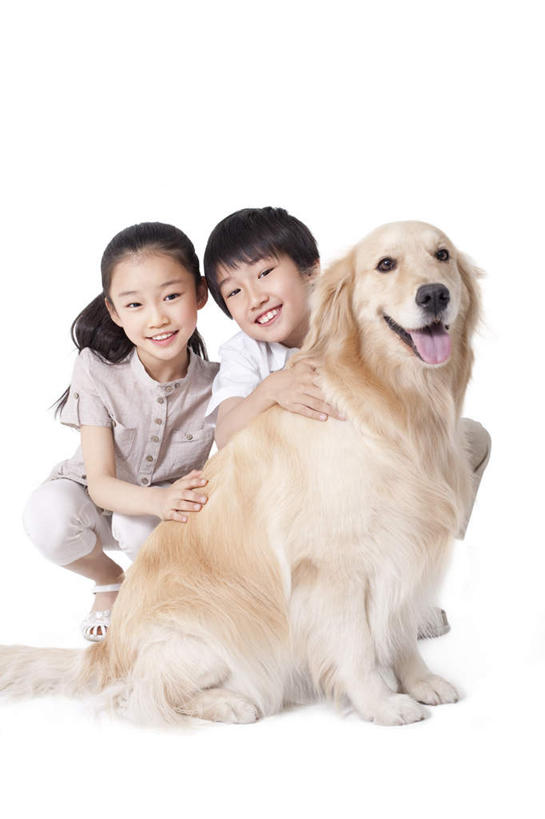 东方人,儿童,两个人,家庭,兄弟,姐妹,坐,笑,微笑,露齿笑,竖图,留白,白色背景,正面,衬衫,快乐,满意,友谊,幸福,纯洁,宠物,狗,北京,中国,亚洲,连接,服装,并排,联系,拉布拉多,休闲装,拉布拉多猎犬,刺激,小孩,衣服,白色,动物,伸舌头,短袖,放松,可爱,童年,童趣,摄影,服饰,影棚,生活方式,享乐,衣着,穿着,关爱,摄影棚,肖像,拉布拉多犬,童真,东亚,烂漫,无邪,爱抚,忠诚,衣饰,无忧无虑,天真,男孩,男性,女孩,女性,亚洲人,中国人,孩子,犬,触摸,跪着,坐着,彩图,影棚拍摄,爱,欢乐,拍摄