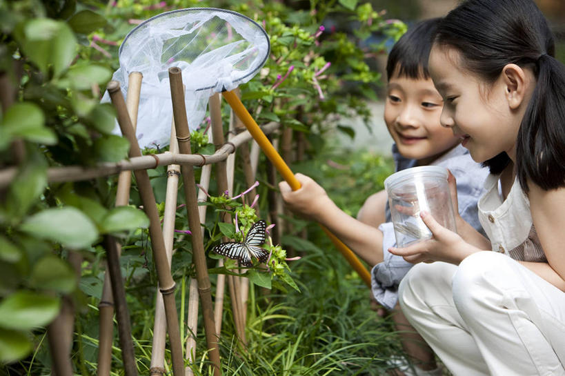 东方人,儿童,两个人,公园,蹲,微笑,横图,室外,侧面,衬衫,快乐,友谊,幸福,纯洁,蝴蝶,北京,中国,亚洲,服装,拿着,休闲装,刺激,小孩,衣服,自然,蝴蝶网,可爱,乐趣,童年,童趣,摄影,服饰,享乐,衣着,穿着,童真,东亚,烂漫,无邪,广口瓶,衣饰,无忧无虑,天真,男孩,男人,女孩,女人,亚洲人,中国人,孩子,彩图,欢乐,挨着,好奇心