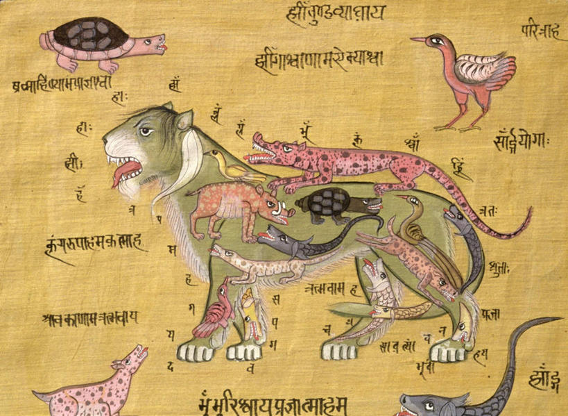 无人,站,横图,室内,特写,白天,侧面,虎,龟,鸟,野生动物,蜥蜴,猪,静物,黄色背景,鸟类,野猪,鱼,标志,文字,字符,字母,注视,标识,鱼类,一只,动物,观察,看,站着,健康,观看,察看,关注,坚定,凶猛,石龙子,泉龙,猪婆蛇,四脚蛇,长寿,乌龟,蜴,山猪,残暴,凶残,老虎,站立,彩图,全身