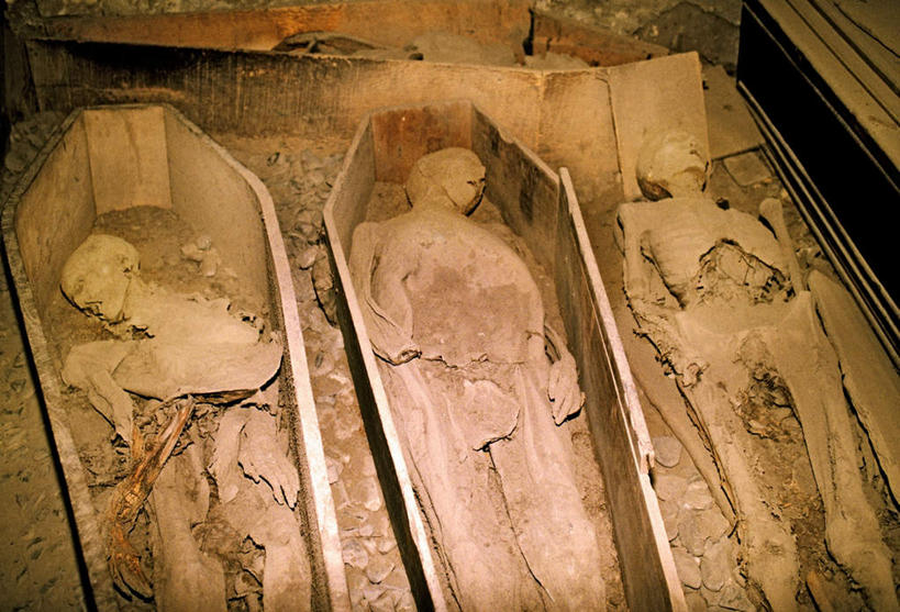 骨骼,无人,躺,横图,俯视,室内,白天,爱尔兰,欧洲,一排,阴影,整齐,反射,木制,影子,骨头,首都,排列,三个,木制品,尸体,骨架,西欧,队列,棺材,爱尔兰共和国,都柏林,尸身,遗体,卧着,躺着,卧,半身,彩图,高角度拍摄