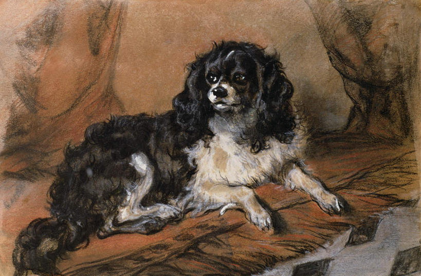 无人,横图,室内,白天,正面,绘画,宠物,狗,油画,艺术,古典,注视,文化,一只,动物,工艺品,观察,看,趴着,品味,可爱,观看,美术,察看,高雅,关注,忠诚,美学,犬,趴,彩图,全身