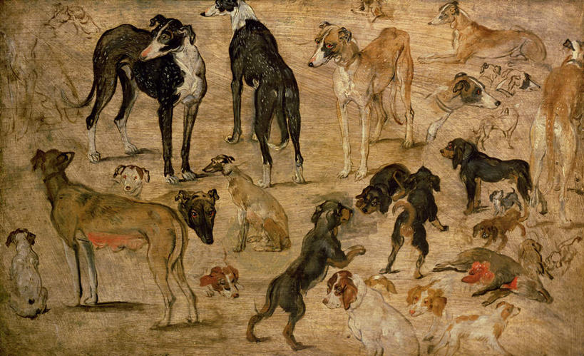 无人,站,横图,室内,白天,正面,绘画,宠物,狗,猪,油画,一群,许多,阴影,艺术,光线,影子,很多,古典,注视,文化,动物,工艺品,观察,看,品味,站着,家畜,可爱,牲畜,观看,美术,察看,高雅,关注,忠诚,美学,犬,站立,彩图,全身