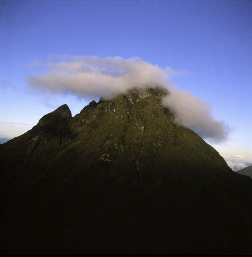 无人,竖图,室外,白天,仰视,旅游,度假,火山,石头,美景,森林,树林,植物,非洲,卢旺达,光线,石子,影子,景观,云,云朵,云彩,娱乐,树,树木,蓝色,绿色,白云,蓝天,天空,阳光,自然,天,享受,休闲,旅游胜地,景色,放松,生长,成长,自然风光,阿非利加洲,卢旺达共和国,活火山,石块,死火山,休眠火山,岩石,彩图,低角度拍摄