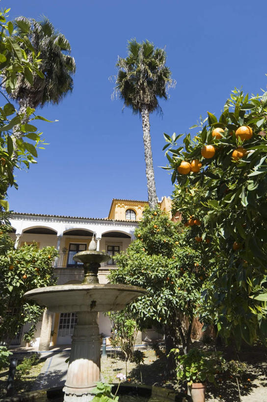 无人,家,竖图,室外,白天,仰视,度假,美景,植物,城市风光,城市,喷泉,棕榈树,柑橘,叶子,西班牙,欧洲,阴影,光线,影子,堡垒,城堡,房屋,屋子,景观,绿叶,文化,娱乐,楼房,安达卢西亚,住宅,树,树木,蓝色,绿色,蓝天,天空,阳光,自然,天,品味,享受,休闲,嫩叶,景色,放松,生长,晴朗,成长,要塞,南欧,安达鲁西亚,橘子树,水景,棕榈叶,万里无云,西班牙王国,美观,安达卢西亚自治区,设防,设计,叶,叶片,晴空,晴空万里,橘子,桔子,橙子,橙,彩图,低角度拍摄,房子