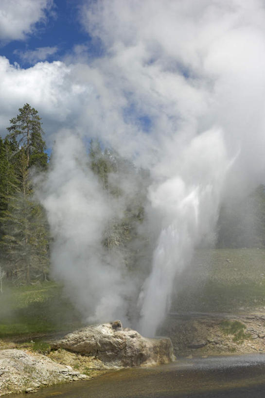 无人,公园,竖图,室外,白天,正面,旅游,度假,河流,石头,美景,树林,水,温泉,植物,雾,美国,阴影,波纹,沸腾,光线,蒸汽,石子,影子,河水,景观,水流,云,云朵,涟漪,水蒸气,雾气,云彩,娱乐,树,树木,蓝色,绿色,白云,倒影,蓝天,水纹,天空,阳光,自然,波浪,天,享受,休闲,温暖,景色,放松,泉水,生长,温和,晴朗,成长,气体,倒映,北美,北美洲,国家公园,自然风光,美洲,爆发,黄石国家公园,蒙大拿州,黄石公园,水晕,蒸发,北亚美利加洲,亚美利加洲,蒙大拿,长空之乡,财富之州,暴发,发作,反照,地热,石块,岩石,晴空,彩图