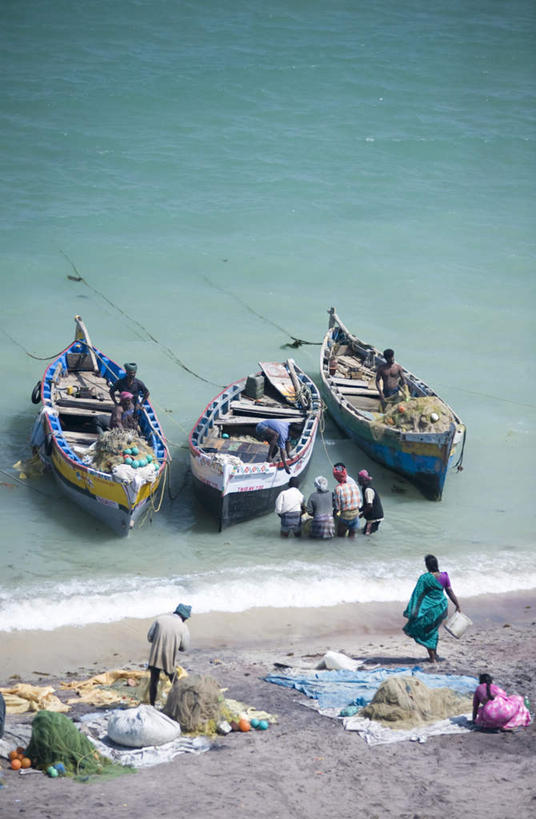 站,坐,竖图,俯视,室外,白天,旅游,度假,海浪,海洋,美景,沙滩,船,鸟,印度,亚洲,一排,许多,飞翔,握,阴影,整齐,飞行,光线,鸟类,沙子,影子,海岸,景观,浪花,木船,沙地,很多,许多人,翱翔,拿,拿着,娱乐,飞,排列,阳光,自然,海水,交通工具,站着,一群人,享受,休闲,景色,放松,握着,渔网,渔具,舟,队列,抓捕,自然风光,载具,独木舟,南亚,捕捞,鱼网,海景,拉网,捕捞工具,印度共和国,独木船,泰米尔纳德邦,泰米尔纳德,男人,男性,年轻男性,年轻女性,女人,女性,亚洲人,印度人,大海,风浪,海,海水的波动,海滩,近岸浪,涌浪,站立,坐着,彩图,高角度拍摄,全身