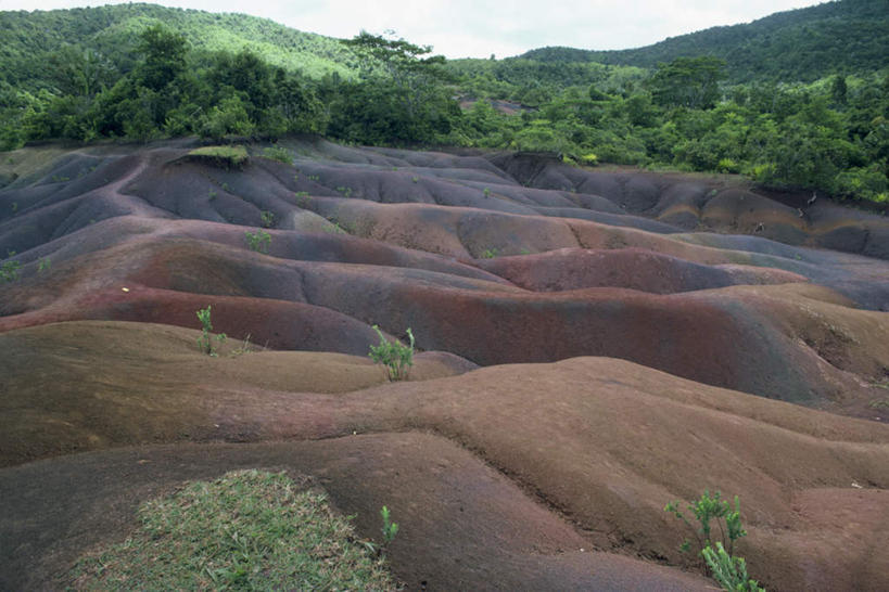无人,竖图,室外,白天,正面,旅游,度假,火山,石头,美景,山,山脉,树林,植物,非洲,毛里求斯,阴影,光线,石子,影子,景观,山顶,山峰,山峦,娱乐,树,树木,蓝色,绿色,蓝天,天空,阳光,自然,群山,天,享受,休闲,景色,放松,生长,晴朗,成长,自然风光,沉积岩,万里无云,阿非利加洲,颠峰,极峰,毛里求斯共和国,水成岩,活火山,石块,死火山,休眠火山,岩石,晴空,晴空万里,彩图