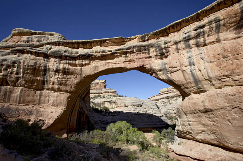 无人,公园,横图,室外,白天,正面,旅游,度假,石头,美景,植物,门,美国,阴影,光线,石子,影子,景观,拱门,娱乐,树,树木,蓝色,绿色,蓝天,天空,阳光,自然,门框,天,享受,休闲,景色,放松,生长,晴朗,成长,北美,北美洲,国家公园,犹他州,自然风光,美洲,万里无云,北亚美利加洲,亚美利加洲,犹他,蜂窝之州,蜂房州,天然桥国家公园,天然桥国家保护区,石块,岩石,晴空,晴空万里,彩图