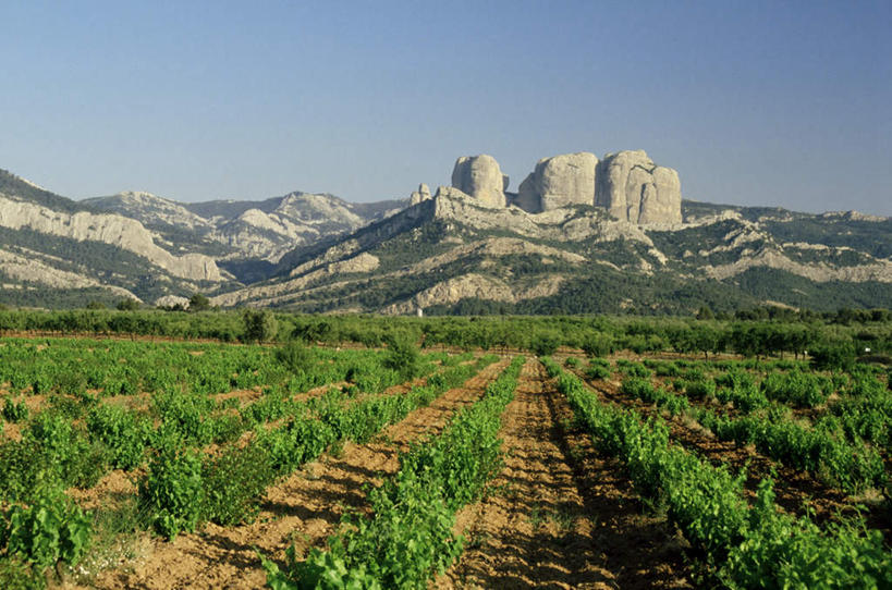 无人,果园,横图,俯视,室外,白天,旅游,度假,石头,美景,山,山脉,田园,西班牙,欧洲,一排,阴影,整齐,并列,并排,光线,石子,影子,景观,山峰,山峦,娱乐,葡萄园,排列,蓝色,蓝天,天空,阳光,自然,庄园,群山,天,享受,休闲,景色,放松,晴朗,葡萄藤,队列,南欧,自然风光,平行,万里无云,西班牙王国,塔拉戈纳,塔拉戈纳省,石块,岩石,晴空,晴空万里,彩图,高角度拍摄