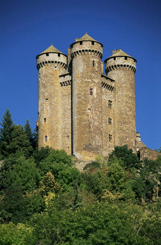 无人,家,竖图,室外,白天,仰视,旅游,度假,名胜古迹,植物,别墅,标志建筑,地标,建筑,法国,欧洲,阴影,遗迹,光线,影子,堡垒,城堡,房屋,屋子,公寓,古迹,文物,娱乐,建设,古建筑,洋房,楼房,住宅,树,树木,蓝色,绿色,蓝天,天空,阳光,自然,天,享受,休闲,旅游胜地,放松,生长,晴朗,成长,要塞,古文明,万里无云,法兰西共和国,法兰西第五共和国,奥弗涅,设防,奥弗涅大区,康塔尔省,晴空,晴空万里,彩图,低角度拍摄,房子