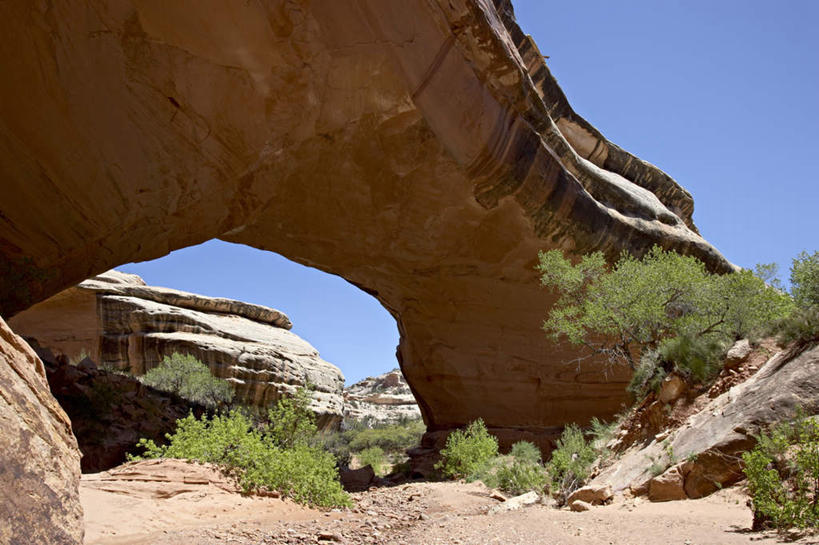 无人,公园,横图,室外,白天,仰视,旅游,度假,石头,美景,植物,美国,阴影,堆积,光线,石子,影子,景观,娱乐,树,树木,蓝色,绿色,蓝天,天空,阳光,自然,天,享受,休闲,景色,放松,生长,晴朗,成长,风化,北美,北美洲,国家公园,犹他州,自然风光,美洲,万里无云,北亚美利加洲,亚美利加洲,犹他,蜂窝之州,蜂房州,天然桥国家公园,天然桥国家保护区,风蚀,石化,风蚀地貌,岩石层,石块,岩石,晴空,晴空万里,彩图,低角度拍摄