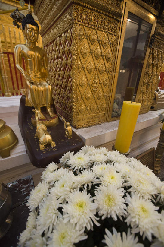 东方人,一个人,无人,寺庙,坐,闭眼,竖图,室外,白天,正面,爱情,旅游,度假,标志建筑,地标,建筑,蜡烛,雕塑,泰国,亚洲,仅一个男性,仅一个人,阴影,节日,艺术,装饰,盛开,光线,雕刻,雕像,火焰,影子,烛光,燃烧,花蕾,黄种人,文化,娱乐,建设,花,花瓣,花朵,鲜花,仅一个年轻男性,工艺品,庙宇,花苞,花蕊,点燃,祈祷,享受,休闲,健康,金色,旅游胜地,菊花,放松,许愿,宗教,东南亚,佛教,信仰,纪念,祈求,美术,吉祥,富贵,主题,陈列,忠诚,泰王国,清迈府,高洁,功能,美学,长寿,富丽,怀恋,清净,真情,寿客,秋菊,释教,名誉,荣华,清迈省,平安,男人,男性,年轻男性,亚洲人,闭眼睛,闭着眼,闭着眼睛,坐着,彩图,全身,庙,寺