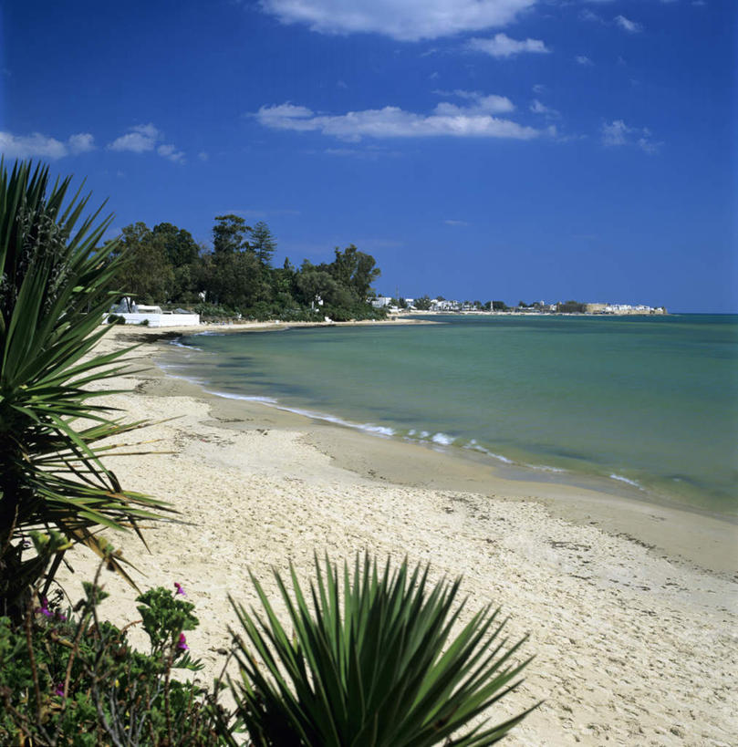 无人,竖图,室外,白天,正面,度假,海浪,海洋,美景,沙滩,植物,城市风光,城市,非洲,突尼斯,阴影,光线,伞,沙子,影子,雨伞,遮阳伞,海岸,景观,浪花,水平线,云,云朵,辽阔,海平线,沙地,云彩,娱乐,阳伞,树,树木,蓝色,绿色,白云,蓝天,天空,阳光,自然,海水,天,享受,休闲,广阔,景色,放松,生长,晴朗,成长,一望无际,海景,北非,阿非利加洲,突尼斯共和国,无边无际,一马平川,哈马马特,大海,风浪,海,海水的波动,海滩,近岸浪,涌浪,晴空,彩图,水天相接,水天一线