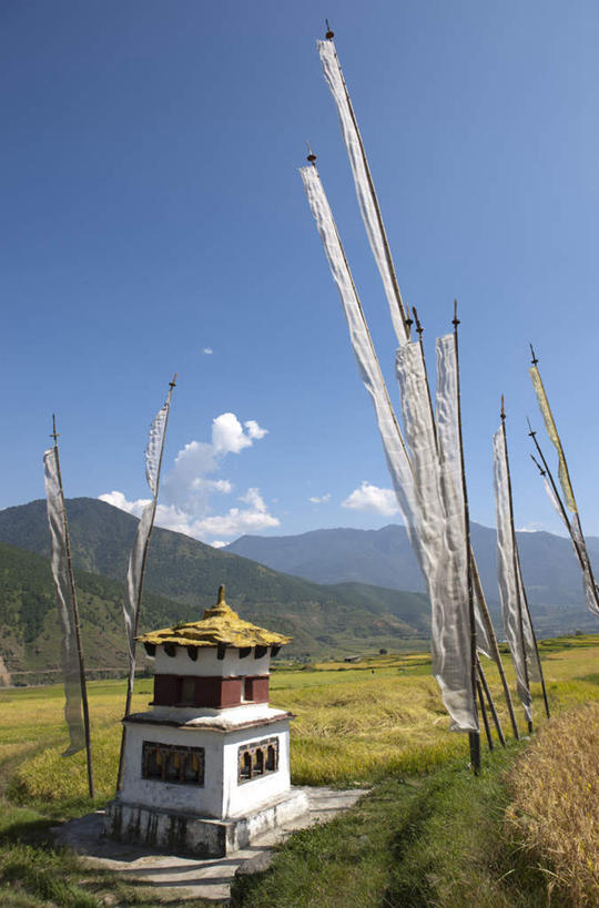 无人,寺庙,竖图,室外,白天,正面,旅游,度假,草地,草坪,山,山脉,植物,标志建筑,地标,建筑,不丹,亚洲,阴影,光线,影子,山峰,云,云朵,塔,山峦,云彩,娱乐,建设,宝塔,草,树,树木,蓝色,绿色,白云,蓝天,天空,阳光,自然,庙宇,群山,天,享受,休闲,旅游胜地,放松,生长,晴朗,成长,南亚,浮图,浮屠,不丹王国,晴空,彩图,庙,寺