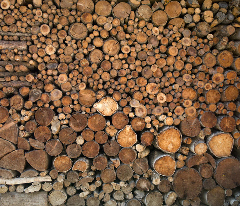 无人,横图,室外,白天,正面,旅游,度假,美景,瑞士,欧洲,一堆,许多,阴影,堆叠,堆积,光线,木头,影子,景观,树桩,娱乐,树,树干,阳光,自然,享受,休闲,木桩,景色,放松,堆,自然风光,中欧,瑞士联邦,瓦莱州,彩图