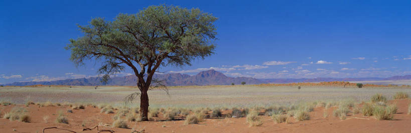 无人,公园,横图,室外,白天,正面,旅游,度假,快乐,石头,美景,沙漠,山,山脉,植物,非洲,纳米比亚,阴影,光线,石子,影子,地平线,景观,山峰,云,云朵,辽阔,地面,山峦,云彩,娱乐,树,树木,蓝色,绿色,白云,蓝天,天空,阳光,自然,群山,天,享受,休闲,广阔,景色,放松,洋槐,生长,晴朗,成长,一望无际,刺槐,国家公园,自然风光,延伸,天地相交,金合欢,鸭皂树,稍纵即逝,纳米比亚共和国,无边无际,一马平川,纳米布.诺克卢福国家公园,红花槐,江南槐,毛刺槐,毛洋槐,大漠,砂漠,石块,岩石,晴空,彩图