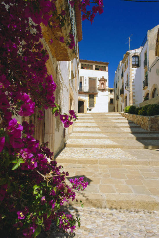 无人,家,竖图,室外,白天,正面,度假,美景,窗户,楼梯,门,城市风光,城市,西班牙,欧洲,一排,许多,阴影,整齐,盛开,光线,影子,房屋,阶梯,墙,屋子,景观,很多,花蕾,娱乐,楼房,玻璃窗,墙壁,墙面,台阶,住宅,花,花瓣,花朵,鲜花,排列,红色,蓝色,蓝天,天空,阳光,门框,天,花苞,花蕊,享受,休闲,景色,放松,晴朗,队列,南欧,万里无云,西班牙王国,塔拉戈纳,塔拉戈纳省,晴空,晴空万里,彩图,房子