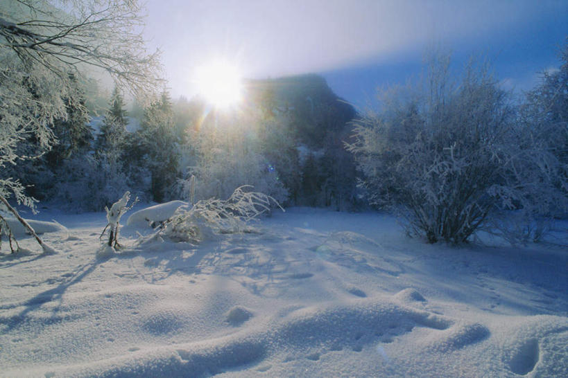 无人,横图,室外,白天,正面,旅游,度假,美景,雪,植物,大雪,瑞士,欧洲,阴影,光线,影子,积雪,景观,雪景,云,云朵,冬季,冬天,首都,云彩,娱乐,伯尔尼,树,树木,蓝色,绿色,白云,蓝天,天空,阳光,自然,天,享受,休闲,景色,放松,寒冷,生长,晴朗,成长,自然风光,中欧,首府,严寒,瑞士联邦,伯尔尼州,格施塔德,晴空,彩图