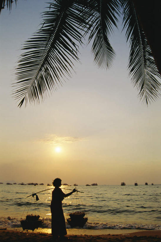 东方人,一个人,站,竖图,室外,白天,正面,旅游,度假,海浪,海洋,美景,日落,沙滩,植物,棕榈树,叶子,泰国,亚洲,仅一个年轻女性,仅一个女性,仅一个人,阴影,服装,光线,沙子,影子,海岸,景观,浪花,水平线,晚霞,霞光,落日,辽阔,绿叶,海平线,沙地,注视,休闲装,黄种人,娱乐,树,树木,衣服,绿色,阳光,自然,海水,黄昏,观察,看,站着,享受,休闲,广阔,休闲服,嫩叶,景色,彩霞,放松,服饰,东南亚,生长,成长,观看,一望无际,察看,关注,自然风光,海景,棕榈叶,泰王国,无边无际,一马平川,夕照,芭堤雅,芭提雅,年轻女性,女人,女性,亚洲人,叶,叶片,大海,风浪,海,海水的波动,海滩,近岸浪,涌浪,夕阳,站立,彩图,全身,水天相接,水天一线,斜阳