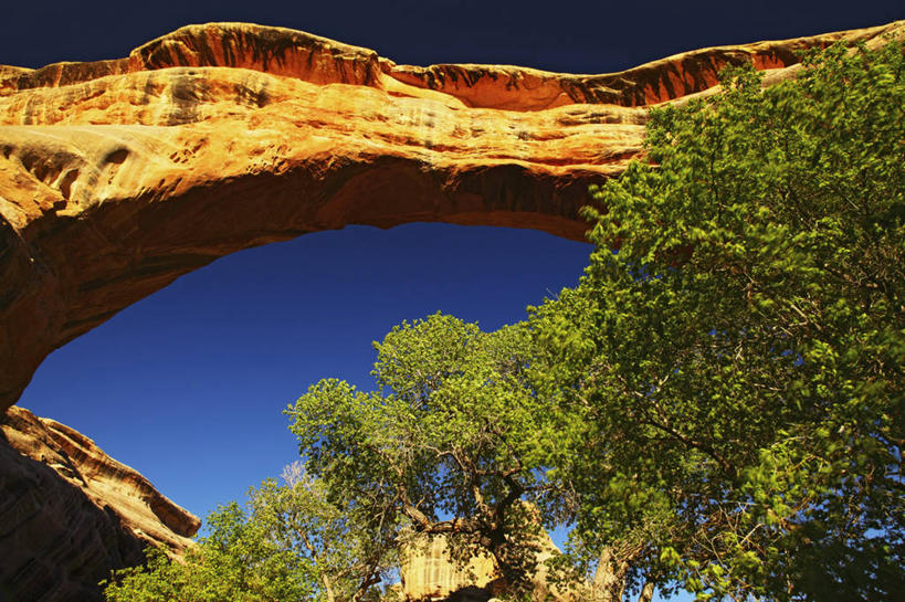 无人,横图,室外,白天,峡谷,美国,时间,地形,地标建筑,摄影,犹他,天然桥国家公园,地质学,沙岩,彩图,旅行,圣胡安县