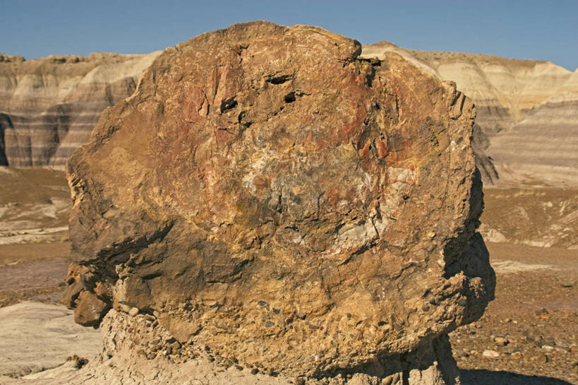 无人,横图,室外,沙漠,美国,科学,化石,地形,树,摄影,亚利桑那,国家公园,地质学,矿物质,石化森林国家公园,彩图,石化木