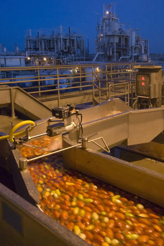 无人,工厂,竖图,夜晚,运动模糊,农业,技术,水,西红柿,美国,倒,食品,工业,摄影,北美,北美洲,加利福尼亚,美洲,发展,加州,加利福尼亚州,金州,黄金州,萨克拉门托,北亚美利加洲,亚美利加洲,萨克拉门托县,洗涤,彩图,县治,美利坚合众国,沙加缅度